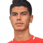 Yiğit Gök