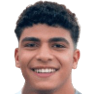 Mohamed Ibrahim