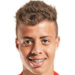 L. Fernandes