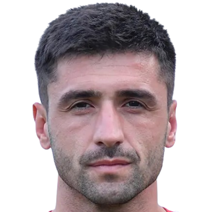 Y. Ozan