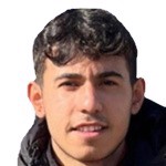 Abdurrahman Şahin Arda