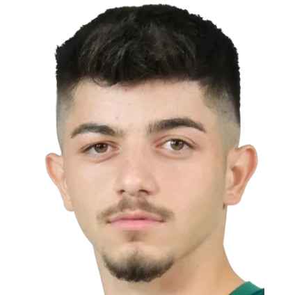 Şahin Dik