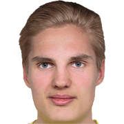 M. Pitkanen