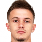 N. Bosancic