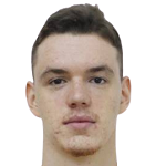 V. Saric