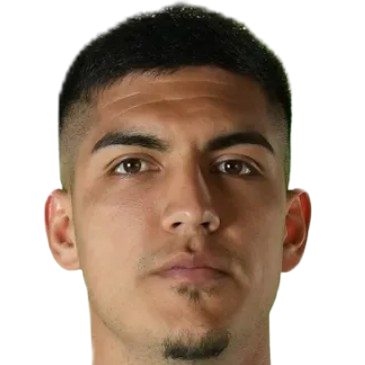 N. Araya