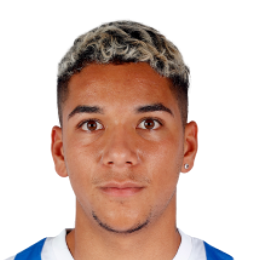 L. Zuniga