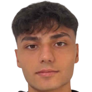 Talha Efe Temiz