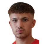 Necip Özer