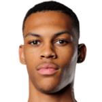 D. Bazley