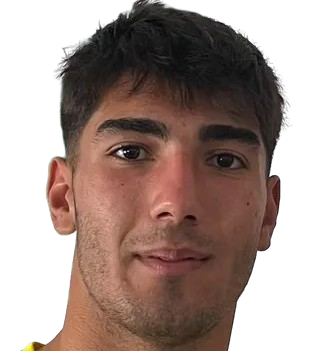 Baran Demir