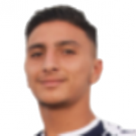 N. Haizoun