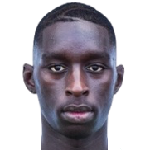 P. N'Diaye