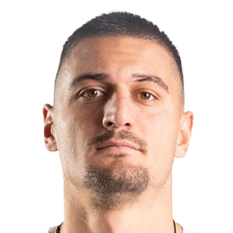 N. Nedić