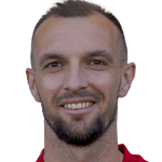 J. Mesanovic