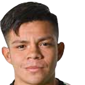 J. Dominguez
