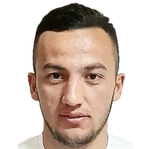 N. Hamroqulov