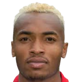 Player: M. Dinanga