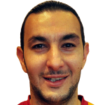  N. Ateş