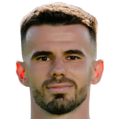 D. Pirvulescu