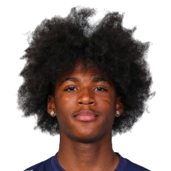 N. Bassega