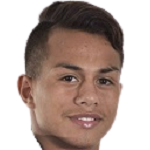 N. Barrios