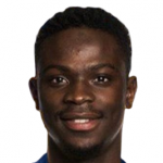 Y. N'Diaye