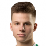 G. Jarusevicius