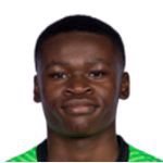 D. Nkounkou