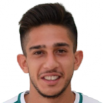 H. Erçelik