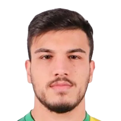 Player: C. Doğan