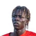 K. Majak