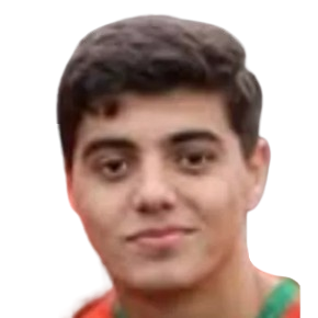 Emir Boz