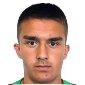 Z. Samcovic
