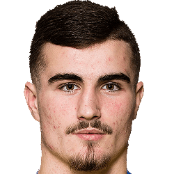 N. Karić