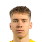 T. Hamalainen