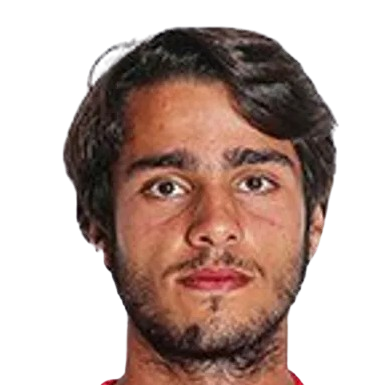 H. Pereira