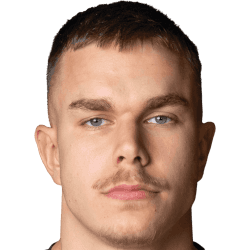 D. Jajić