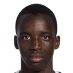 Player: M. Diarra