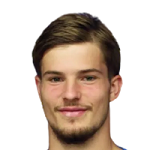 D. Dostanić