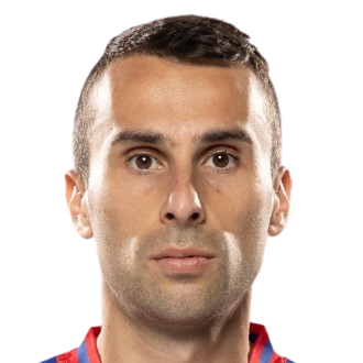 M. Gajic
