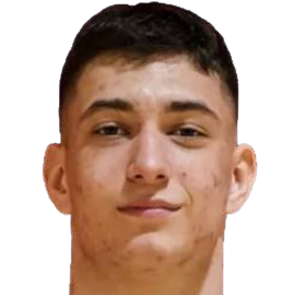 Aleksa Dimitrijevic