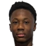 L. Dioubate