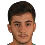 Vedat Böyükgül