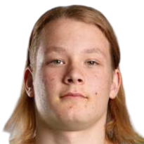 M. Pitkanen