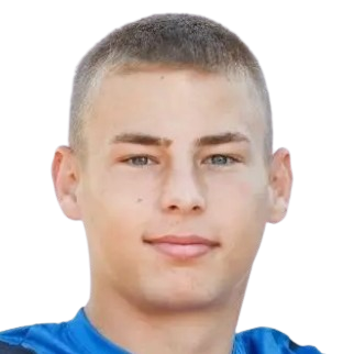 M.Nisavic
