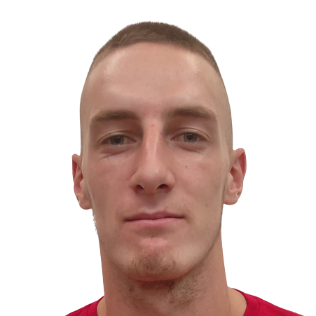 N. Zecevic