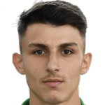 Mert Torlak