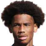 Player: S. Sané