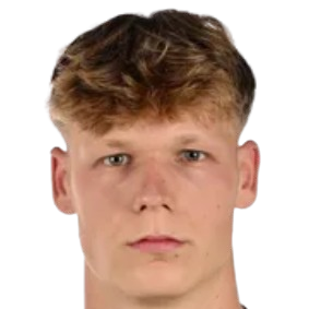 T. Van Ingelgom